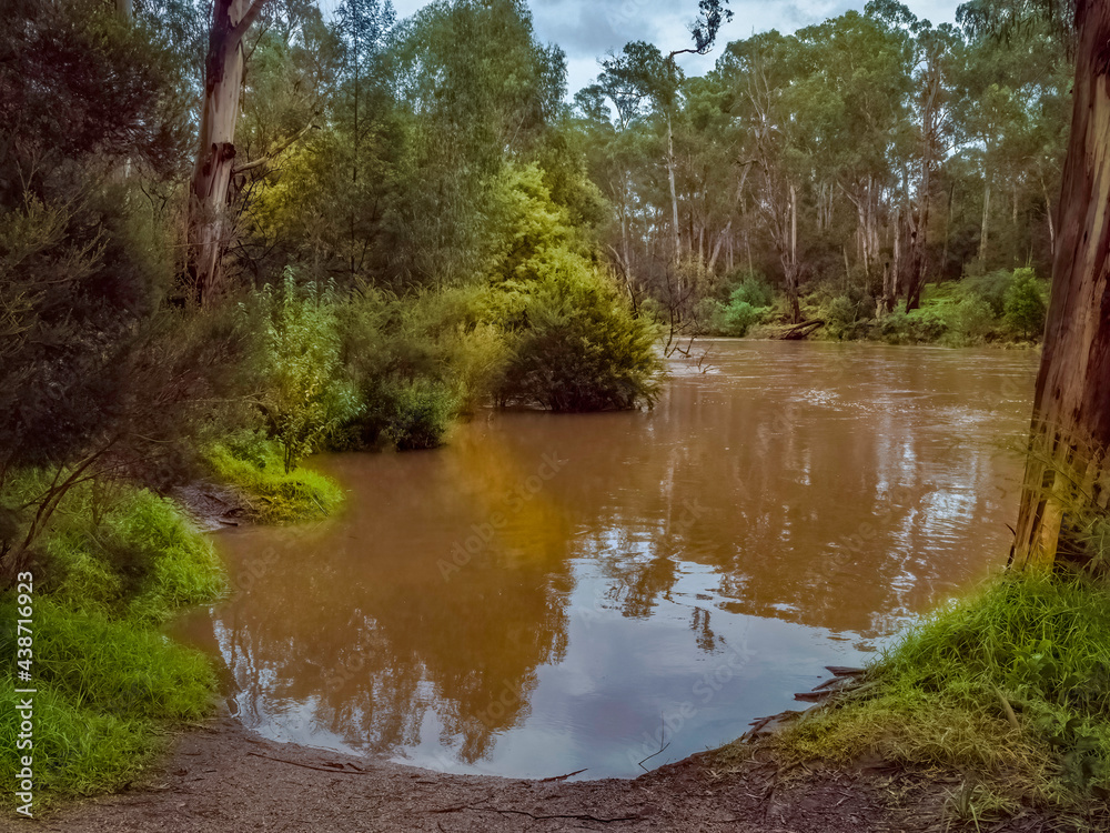Flooded Cove Flooded Cove