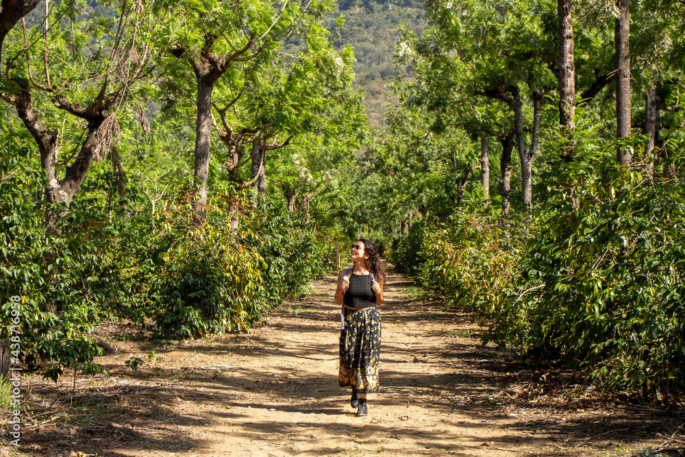 Fototapeta premium Walking through coffee plantation in Antigua, Guatemala