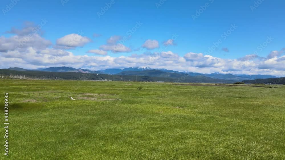 Perfect marsh with wavy windy green marshland grass and distant snowcap mountain hills, clouds and blue sky aerial drone shot in Skokomish River Union Mason County Washington State Pacific Northwest Perfect marsh with wavy windy green marshland grass and distant snowcap mountain hills, clouds and blue sky aerial drone shot in Skokomish River Union Mason County Washington State Pacific Northwest
