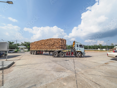 wood chipper fuel for Biomass power plant. photo