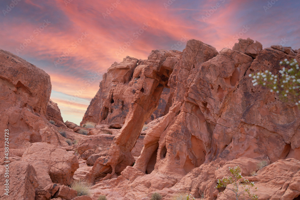 Wide angle horizontal view of Elephant Rock, against a colorful dramatic sky, in Valley of Fire State Park in Nevada. 