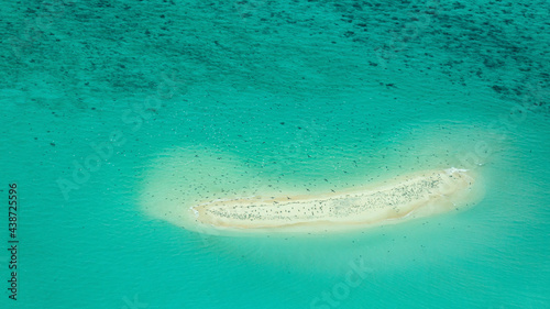 A drone shot of the blue waters of the Great Barrier Reef, featuring Michaelmas Island home to thousands of Seabirds aerial photography , conversation 
