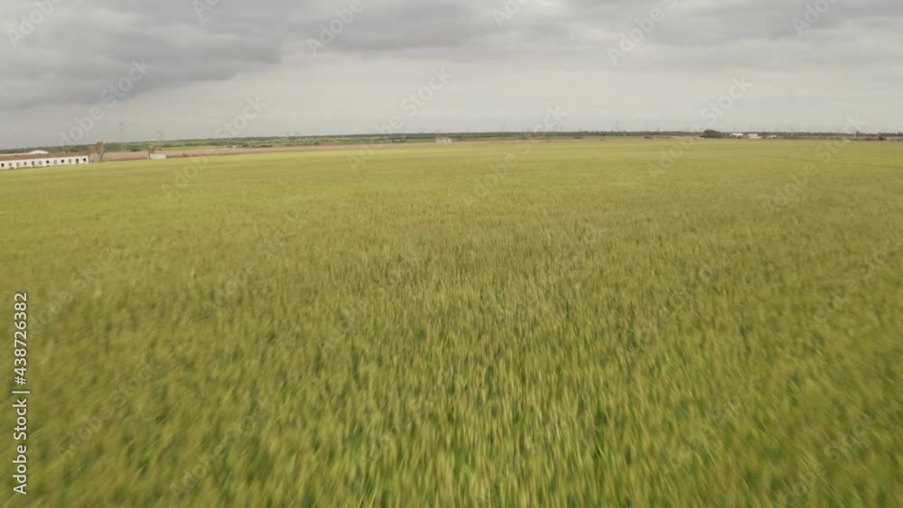 Aerial flight under water sprinkler on green agricultural field during cloudy day in Portugal. Aerial flight under water sprinkler on green agricultural field during cloudy day in Portugal.