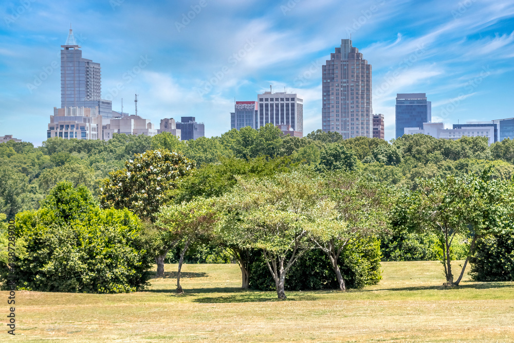 Raleigh Skyline Viewed From Dorothea Dix Park On A Sunny Day Stock Photo Adobe Stock Raleigh Skyline Viewed From Dorothea Dix Park On A Sunny Day Stock Photo Adobe Stock