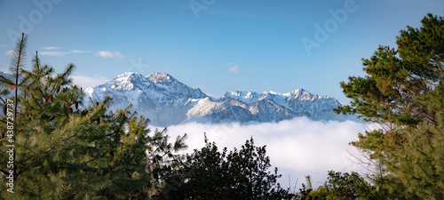 Breathtaking picturesque landscape of snowy mountain peaks clear blue aqua sky and fluffy foggy misty clouds under. View through pine trees, pinecones. Bright sunny morning after sunrise, blue hour. © D. Kvasnetskyy