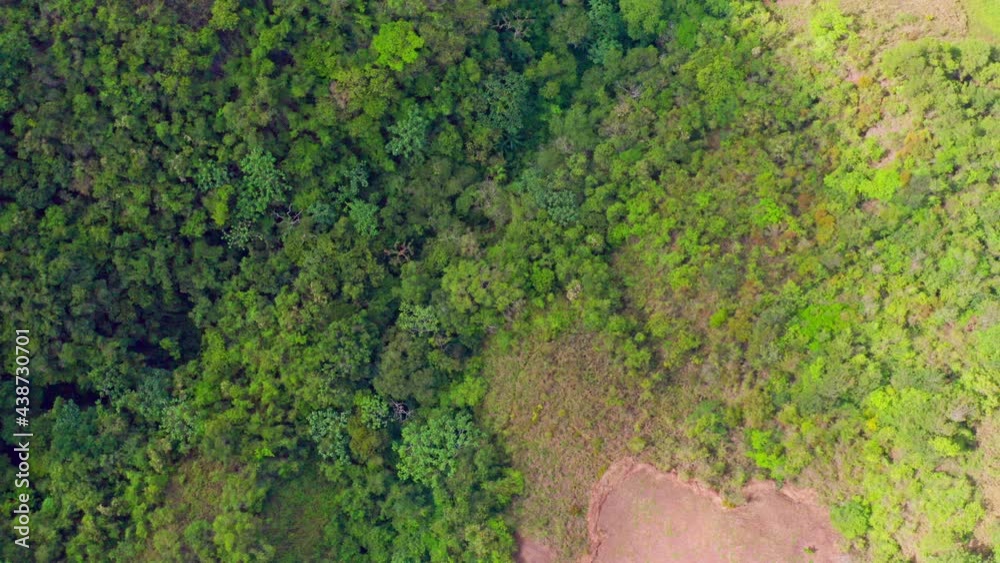Aerial top-down forward over forest at San Jose de Ocoa in Dominican Republic Aerial top-down forward over forest at San Jose de Ocoa in Dominican Republic