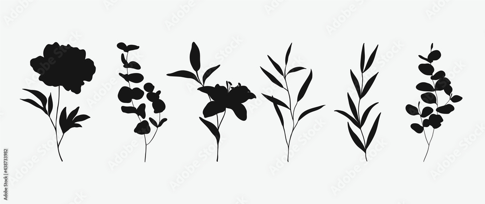 Plakat Minimal botanical hand drawing design for logo and wedding invitation. Floral line art. Flower and leaves design collection for bouquets decoration, card and packaging background.