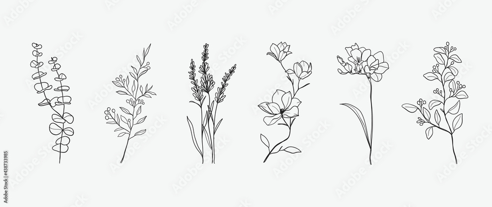 Minimal botanical hand drawing design for logo and wedding invitation. Floral line art.  Flower and leaves design collection for bouquets decoration, card and packaging background. - obrazy, fototapety, plakaty 