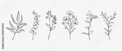 Minimal botanical hand drawing design for logo and wedding invitation. Floral line art.  Flower and leaves design collection for bouquets decoration  card and packaging background.