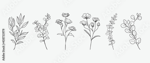 Minimal botanical hand drawing design for logo and wedding invitation. Floral line art. Flower and leaves design collection for bouquets decoration, card and packaging background.
