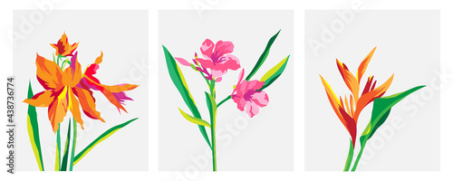 Vector collection of botanical abstract wall art and floral illustrations. Luxury pattern design with tropical floral art, Hand drew Organic shape design for wall framed prints, covers, and posters.