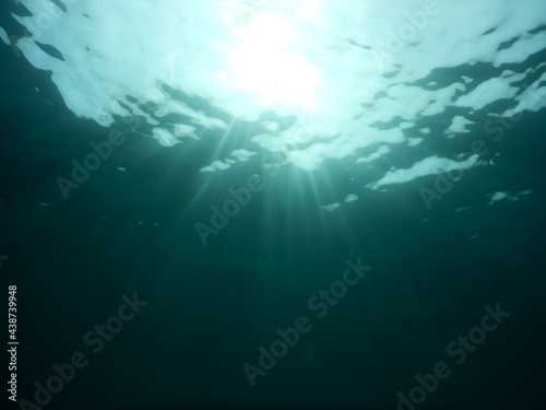 伊豆の海でダイビング中に水中から眺めた太陽の光でキラキラ綺麗な水面
