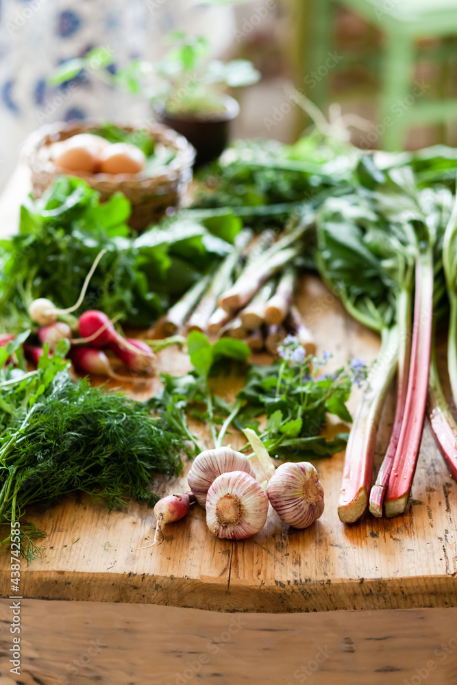 Seasonal vegetables on wooden table: garlic, rhubarb, salad, pink radish. Concept of fresh seasonal organic domestic local products, gardening, healthy lifestyle.