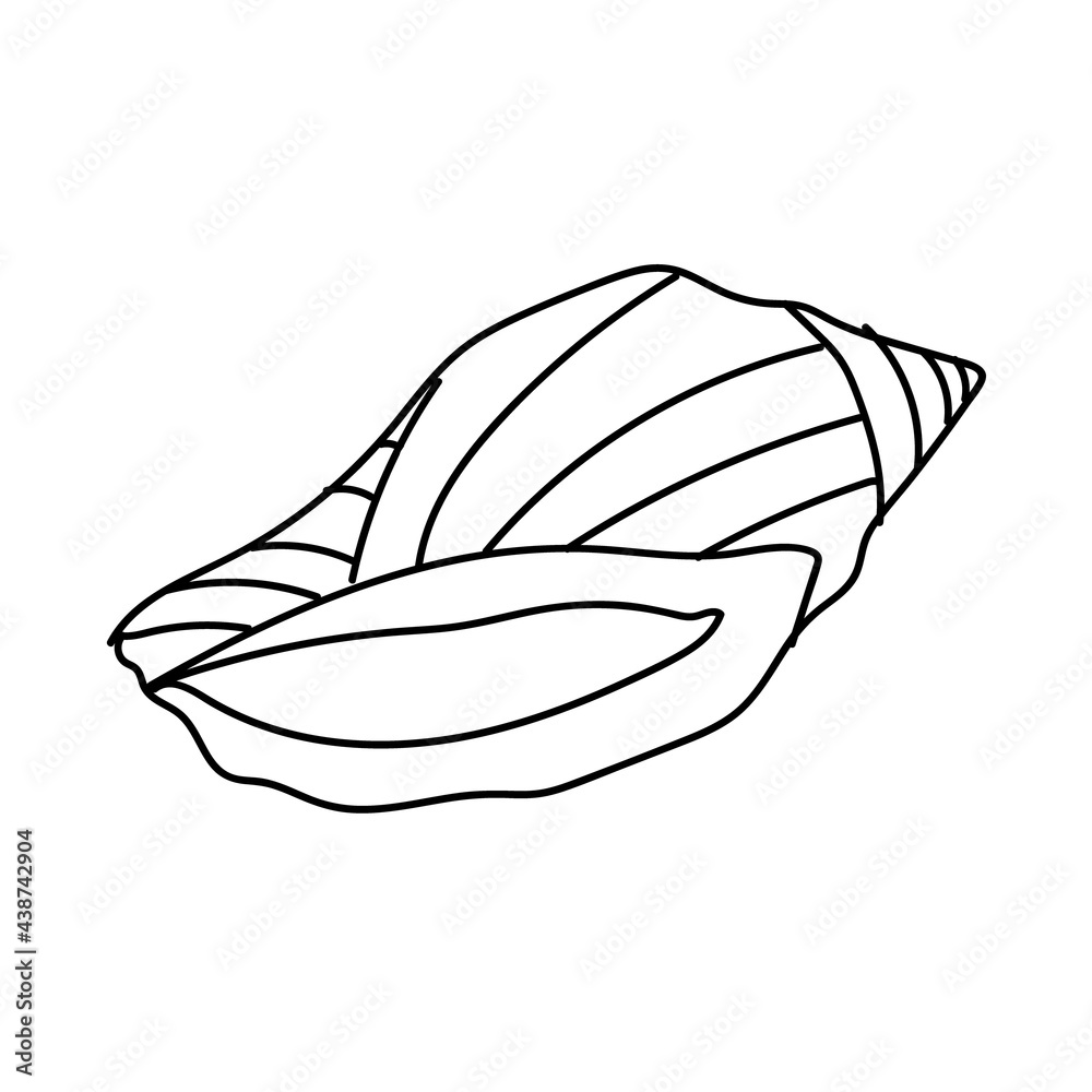 Seashell vector illustration isolated on white background Seashell vector illustration isolated on white background