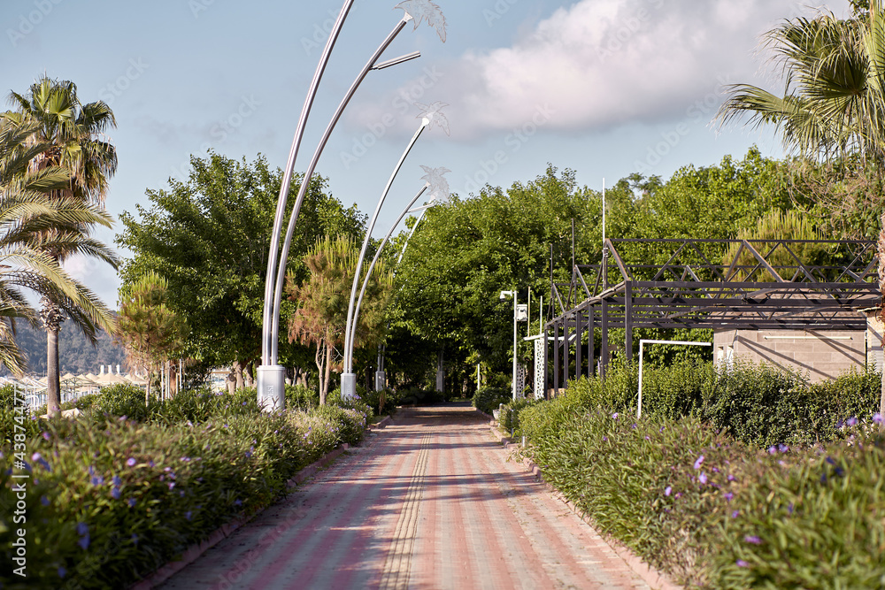 Sea promenade in bright sunny weather with palm trees and Street lights. High quality photo Sea promenade in bright sunny weather with palm trees and Street lights. High quality photo