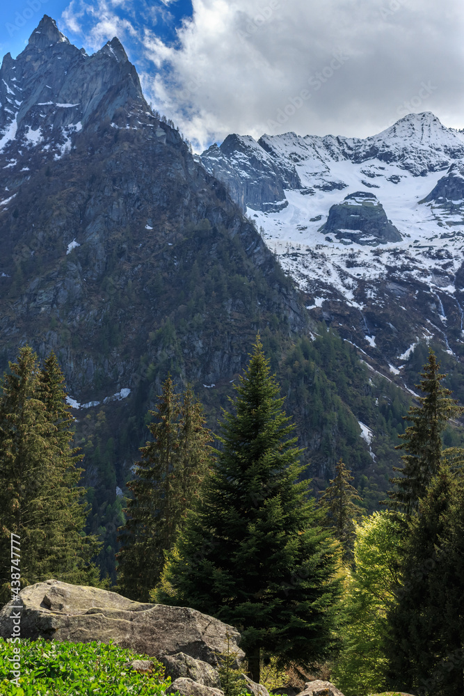 Large stone on the background of the Alps mountains