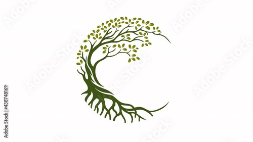 Circle Tree Animation Logo Video. this beautiful tree is a symbol of life, beauty, growth, strength, and good health.  photo