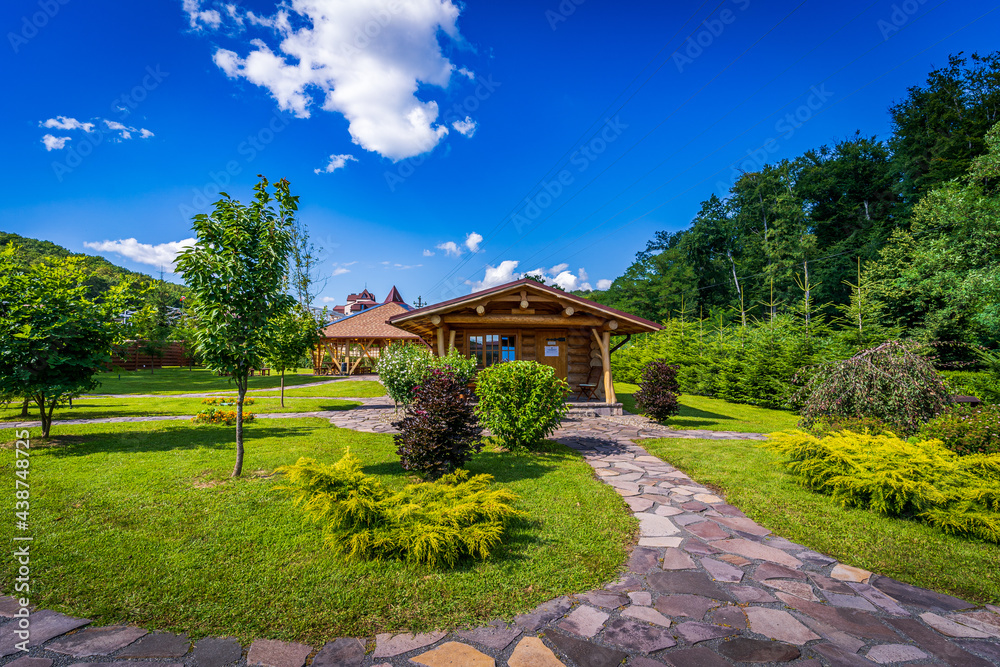 Fototapeta premium a beautiful park, a forest and a castle