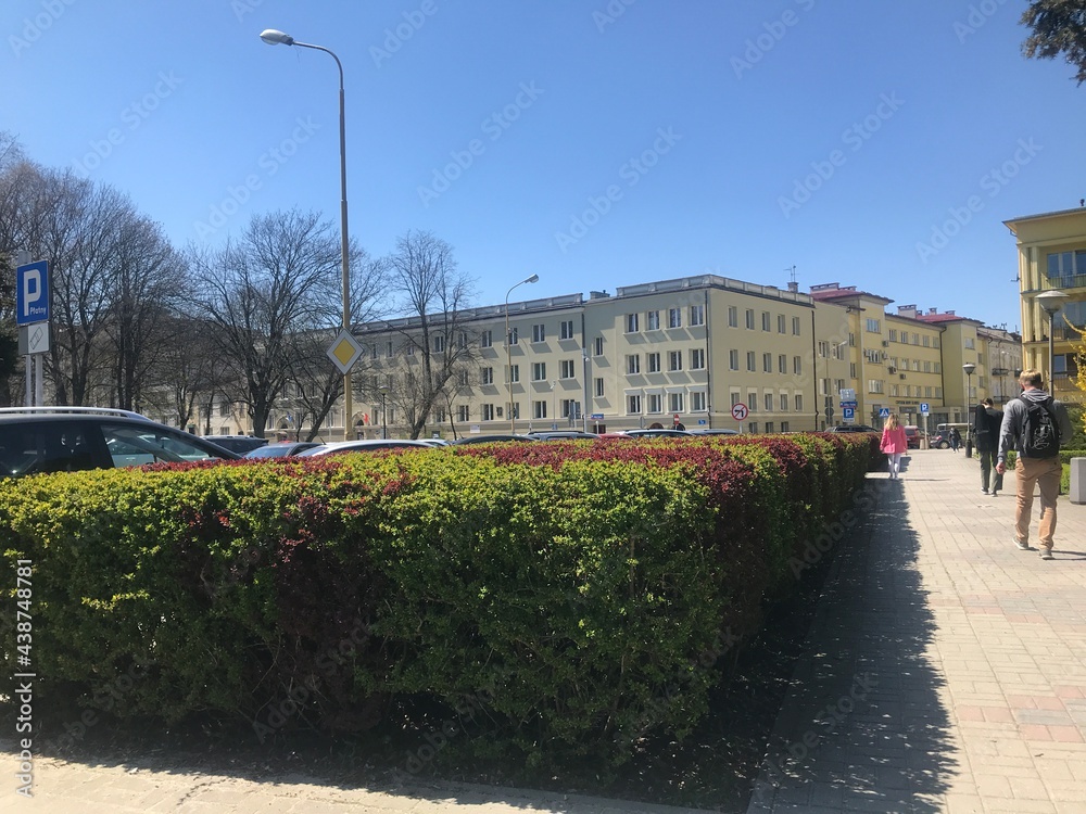 Naklejka premium view of the palace