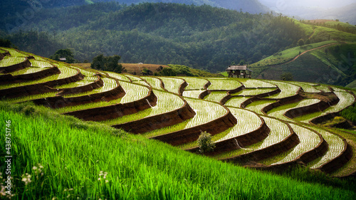 Photography Beautiful Landscape terraced paddy fields in Pa Pong Pieng, Mae Chaem, Chiang Ma