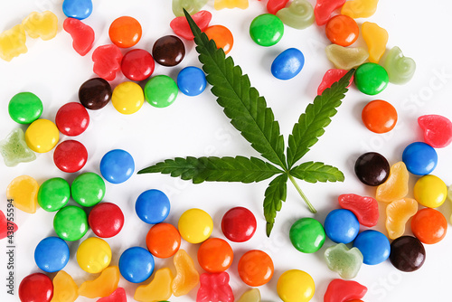 Marijuana leaf and chocolate candies colorful Isolated on white background.