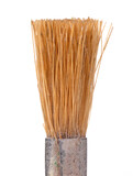 Small old paintbrush isolated