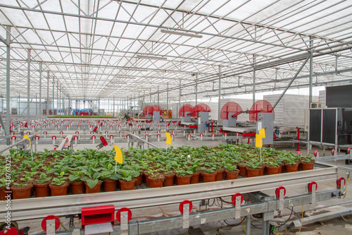 Greenhouse facilities.