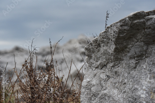 rock sea whiteland in wakayama photo