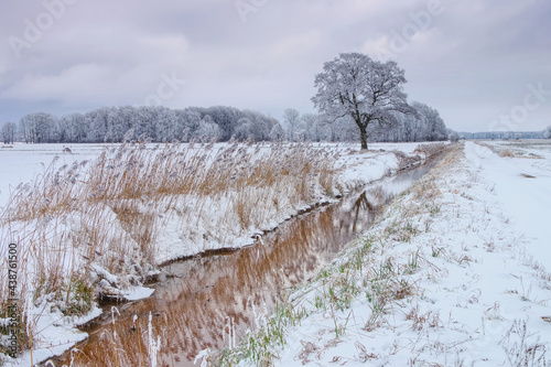 Spreewald im Winter - Spreeforest in cold winter photo