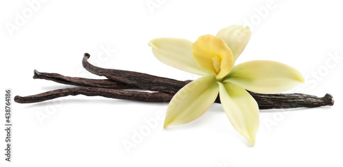 Aromatic vanilla sticks and beautiful flower on white background