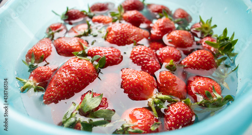 strawberries in a blue plate with water on a light background. Soaking fruits and vegetables in water  carefully processing berries. Strawberry season