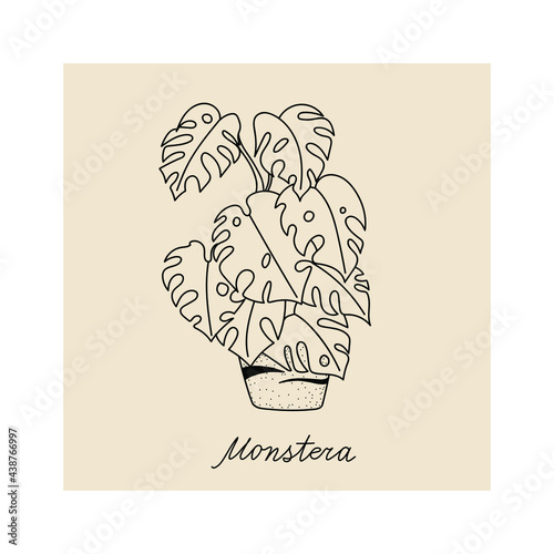  Concept of cozy home and comfort. Hand drawn illustration of plant monstera for posters, cards, t-shirts. Vector illustration
