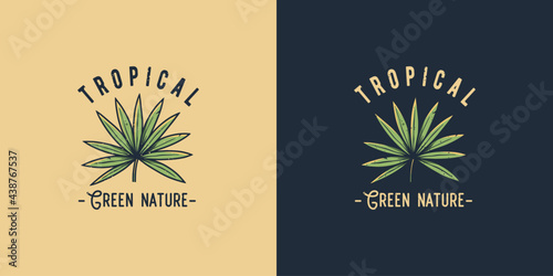 Tropical palm for surfing t-shirt print. Exotic hawaii summer plant for tropic surf design
