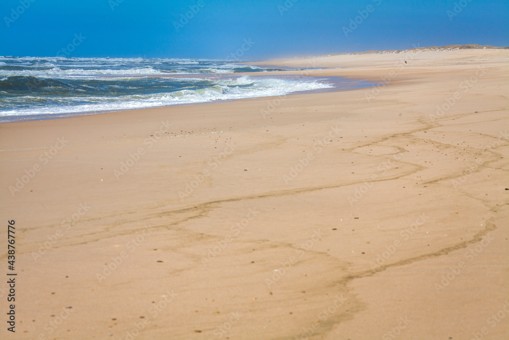 Obraz premium panoramic view on the shore