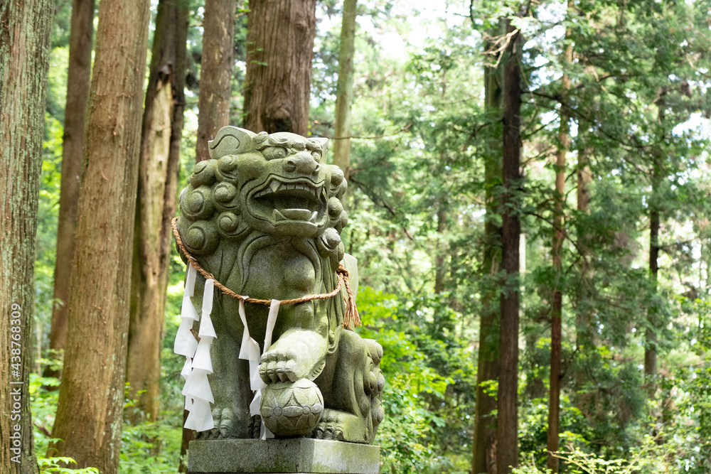 邪気を払う神社参道の狛犬 邪気を払う神社参道の狛犬