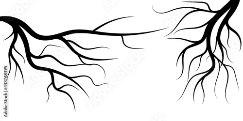 Silhouette of two creepy branches of dead trees