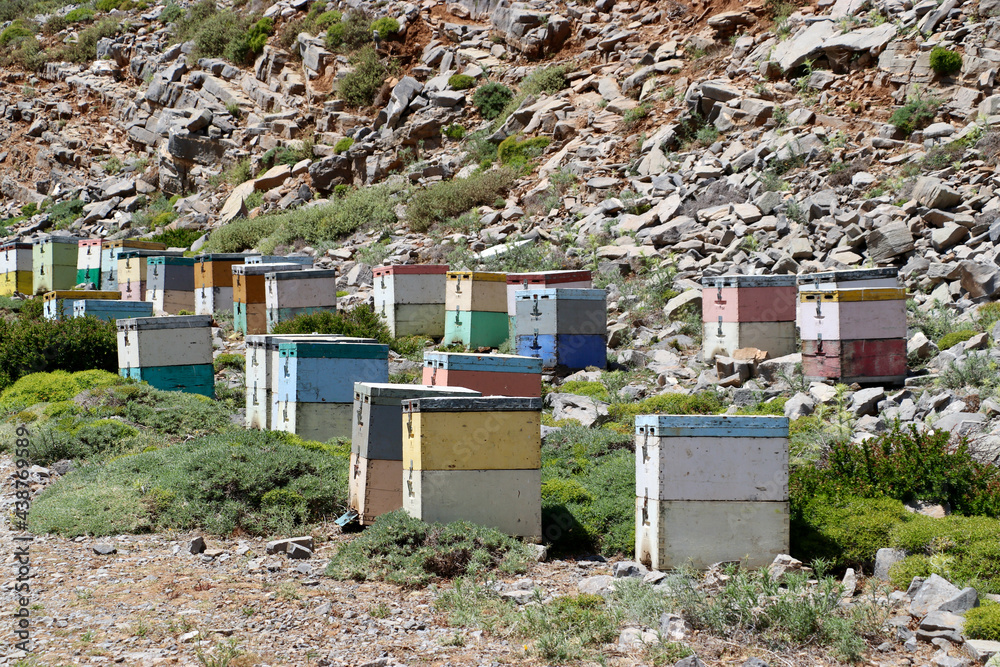 Bunte Bienenstöcke im Bergland von Kreta
