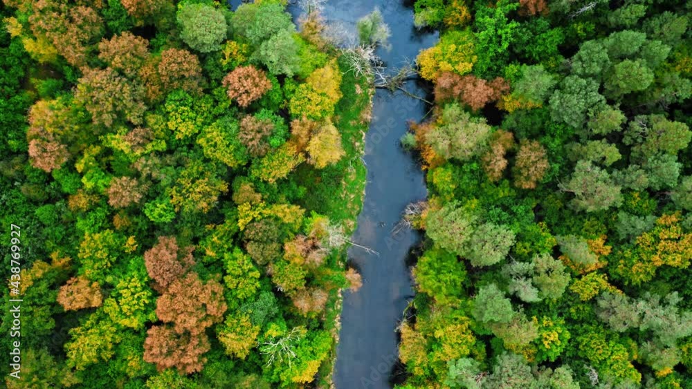 Small river in autumn. Aerial view of wildlife, Poland. Small river in autumn. Aerial view of wildlife, Poland.