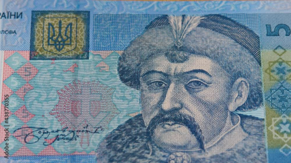 custom made wallpaper toronto digitalNational currency of Ukraine hryvnia UAH. Face of hetman Bohdan Khmelnytsky on paper bill. Concept of investment, success, financial prospects or career advancement. Hryvna or hryvnya