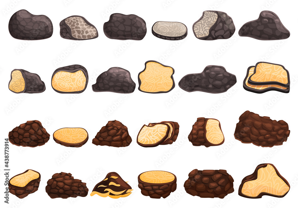 Truffle icons set. Cartoon set of truffle vector icons for web design