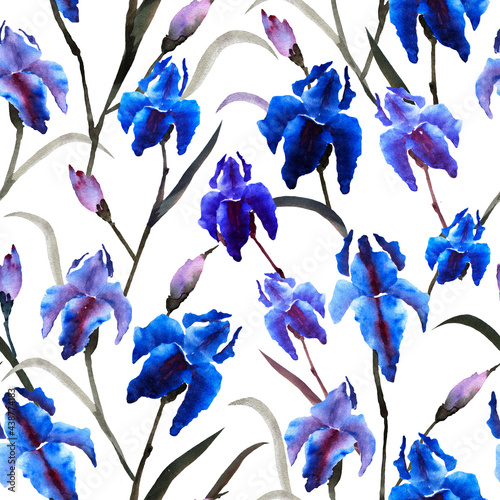 Fototapeta Naklejka Na Ścianę i Meble -  Iris flowers seamless  pattern on white background. Design for packaging, textur, fabric, wallpaper, webside, card.