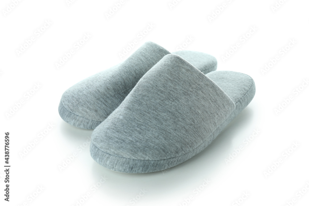 Pair of house slippers isolated on white background Pair of house slippers isolated on white background