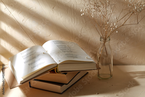 фотографія home improvement and decoration concept - still life of books and decorative dri