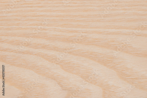 Texture of  Ash Tree Wood veneer