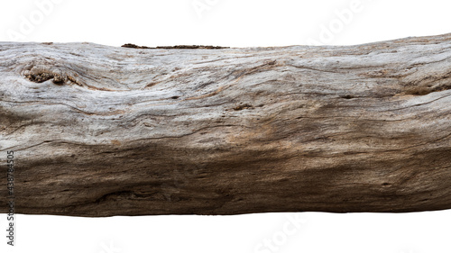 Isolated close-up of a large tree log.