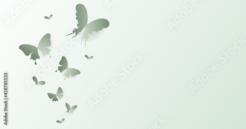 Butterfly beautiful vector with copy space isolated on green background ,Vector illustration EPS 10