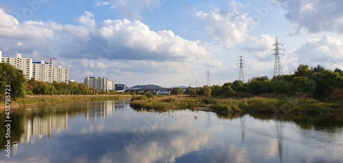 Han River view: blue sky, clouds, and migratory birds.