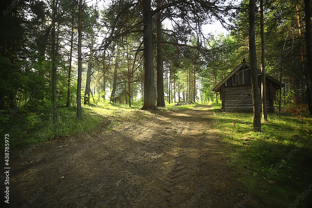outdoor activities tourism, holiday house in a pine forest, summer landscape sunny day nature north outdoor activities tourism, holiday house in a pine forest, summer landscape sunny day nature north