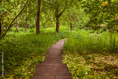 eco path in the botanical park among trees and flowering plants