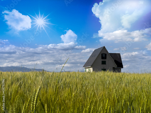 Paisaje con casa abandonada en el campo verde